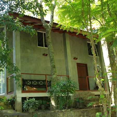 فيلا Executive Residency Retreat هيكادوفا المظهر الخارجي الصورة