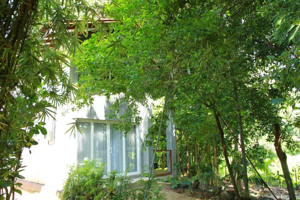 فيلا Executive Residency Retreat هيكادوفا المظهر الخارجي الصورة
