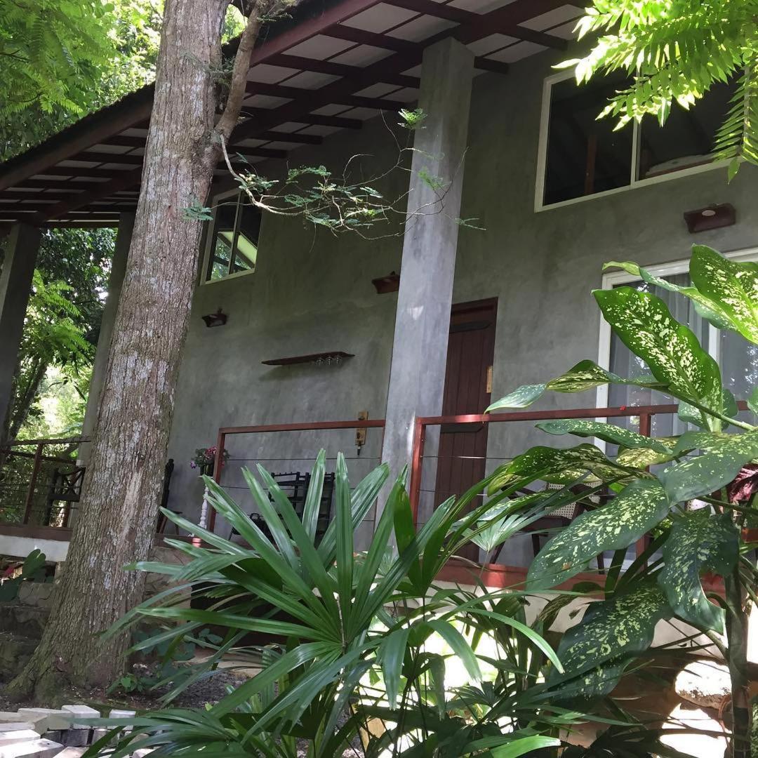 فيلا Executive Residency Retreat هيكادوفا المظهر الخارجي الصورة